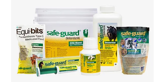 A variety of Safe-Guard brand dewormer products for horses containing fenbendazole, including bottles, packets, a tube, and a bag, are displayed together on a white background.